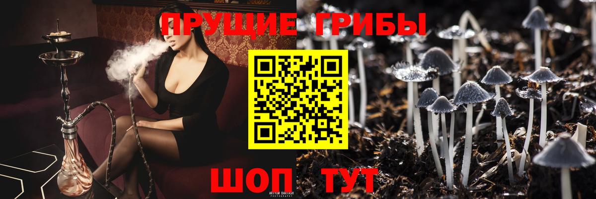 Амурск  Галлюциногенные грибы Psilocybe  Псилоцибиновые грибы MAGIC MUSHROOMS  Вход с VPN 