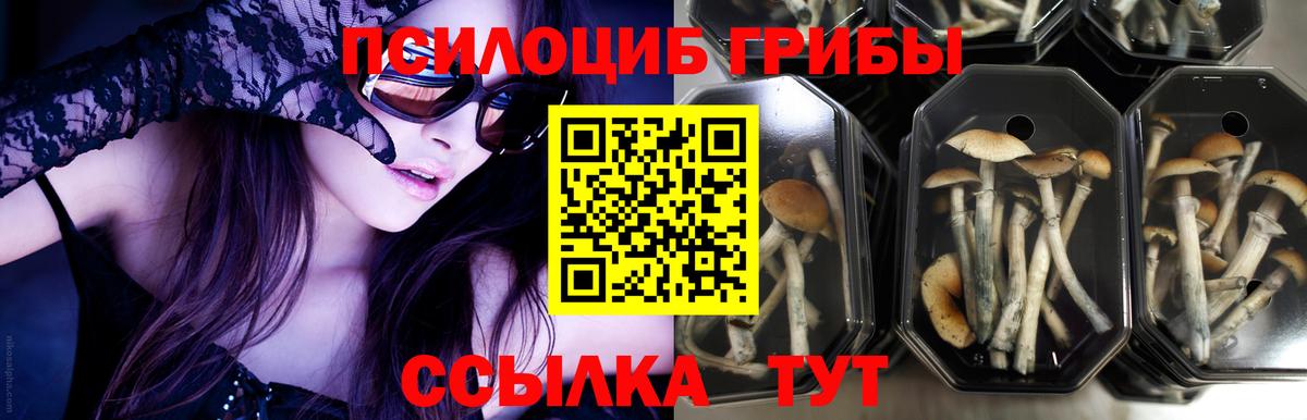 Псилоцибиновые грибы ЛСД Амурск